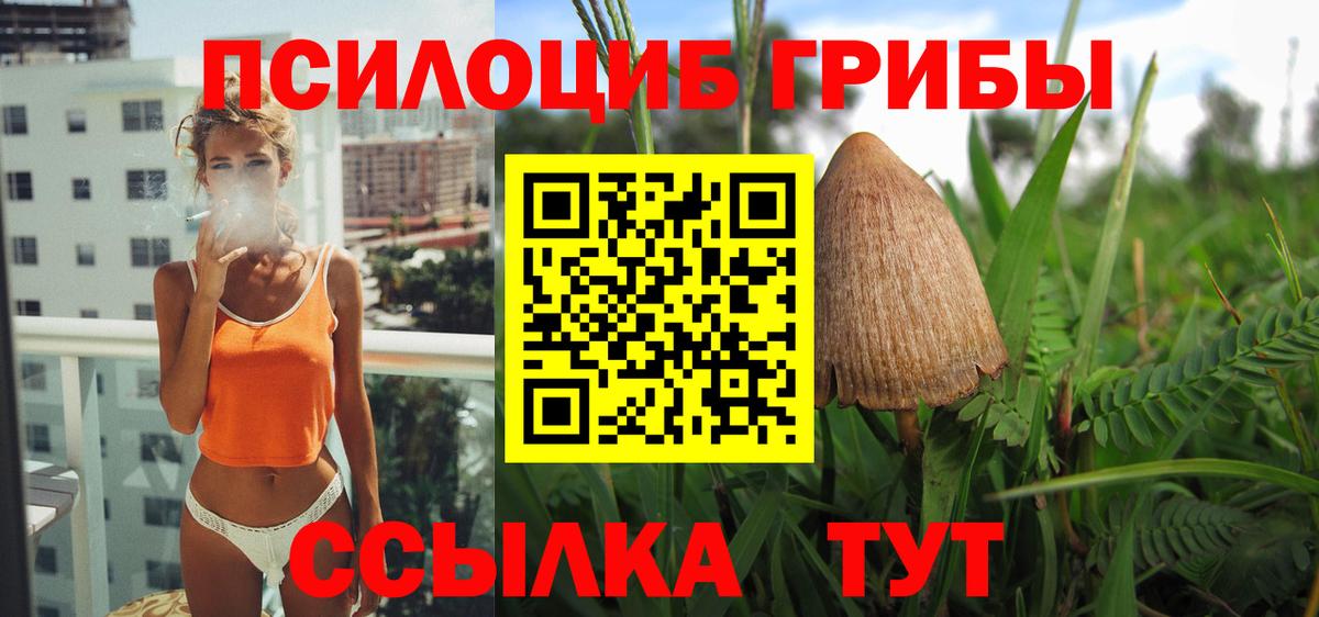 Ревда  Галлюциногенные грибы Psilocybe  Галлюциногенные грибы Magic Shrooms  как найти наркотики  Вход с VPN 